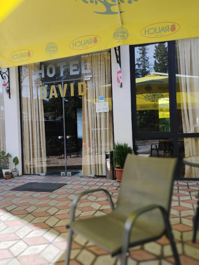 David Hotel クタイシ エクステリア 写真